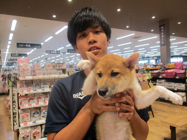 写真