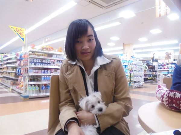 写真