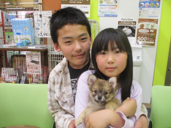 写真