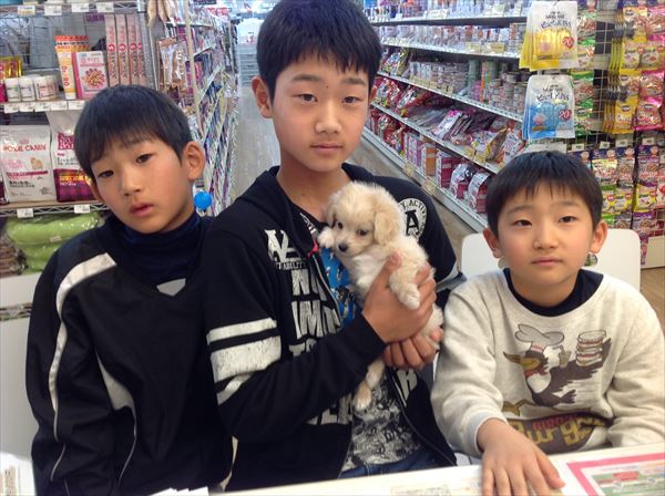 写真