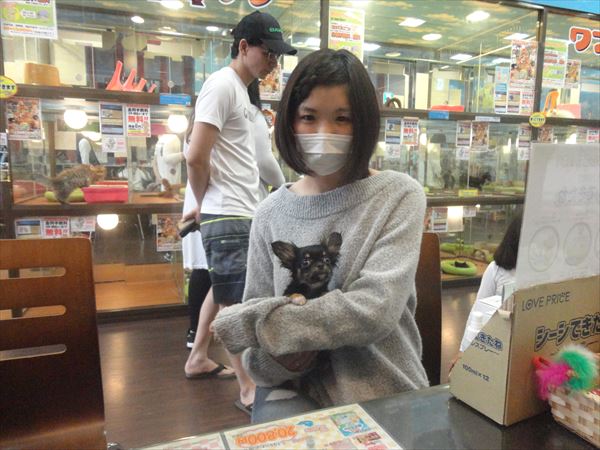 写真