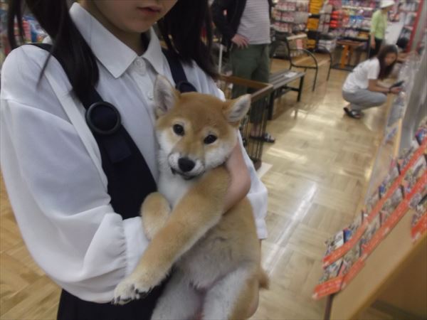 写真