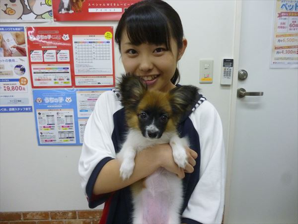 写真