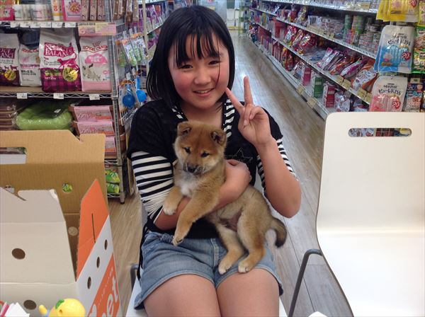 写真