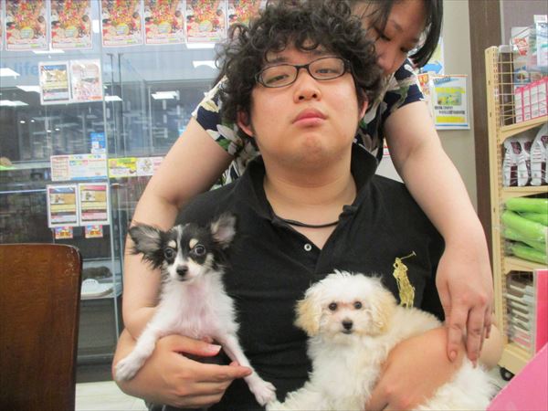 写真