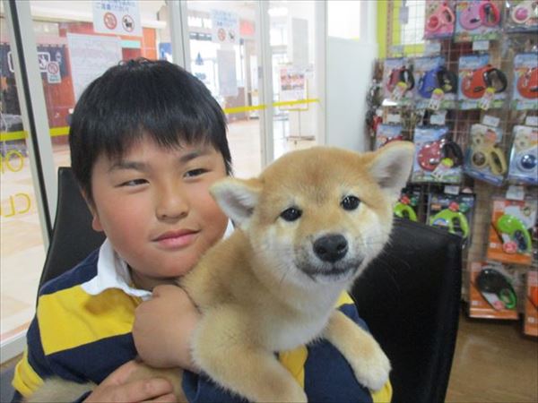 写真