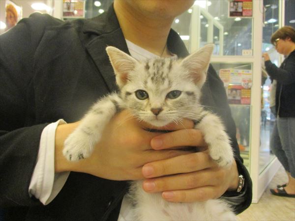 写真