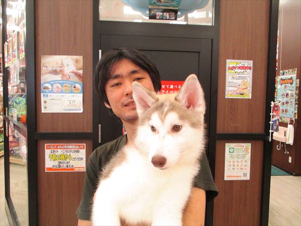 写真
