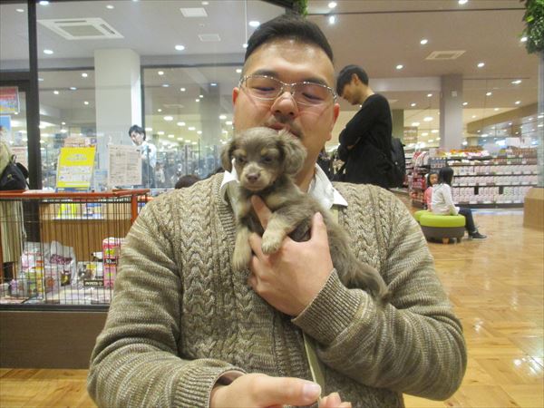 写真