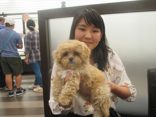 写真