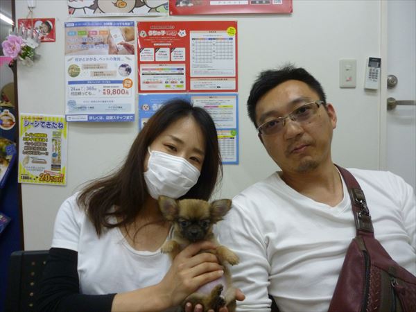写真