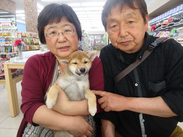 写真