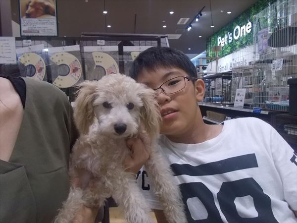 写真