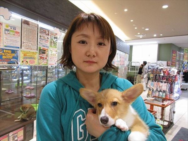 写真