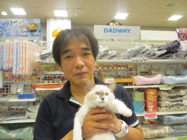 写真