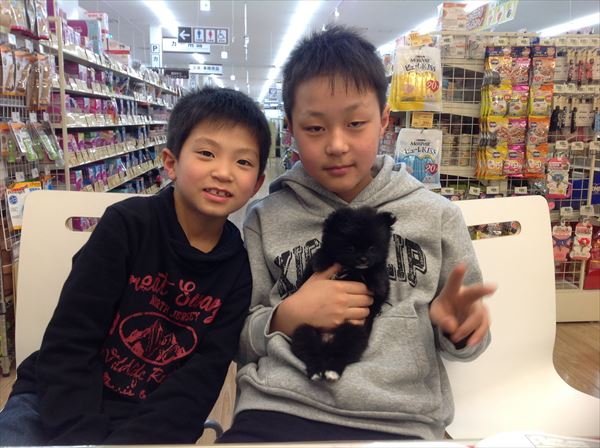 写真