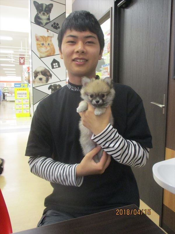 写真