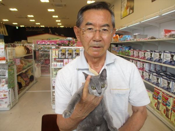 写真