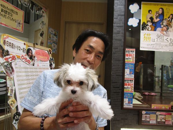 写真