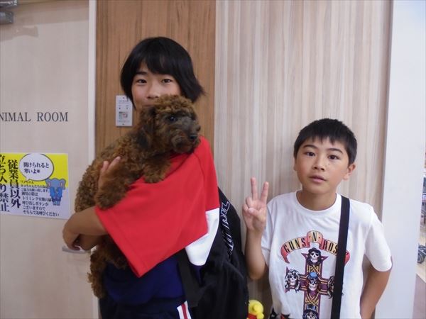 写真