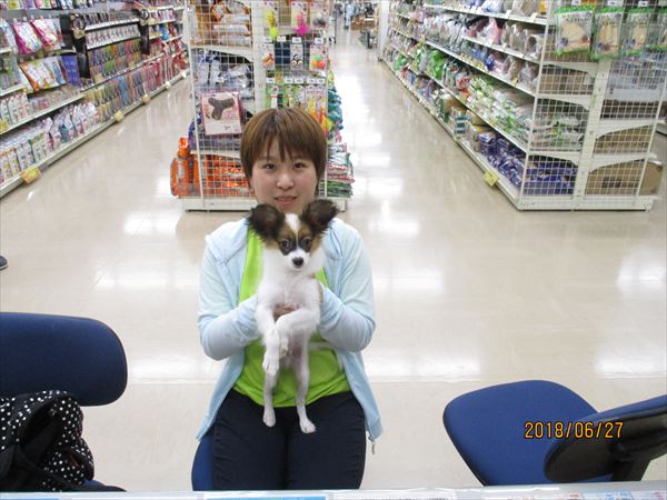 写真