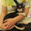 写真