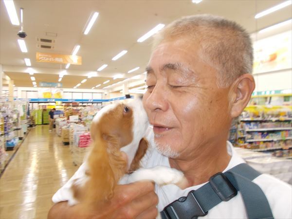 写真