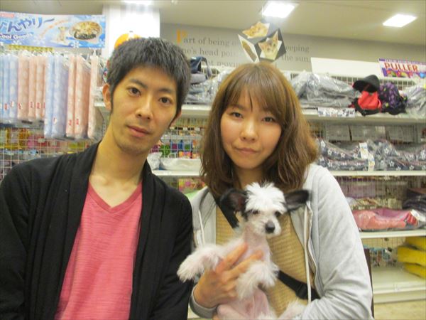 写真