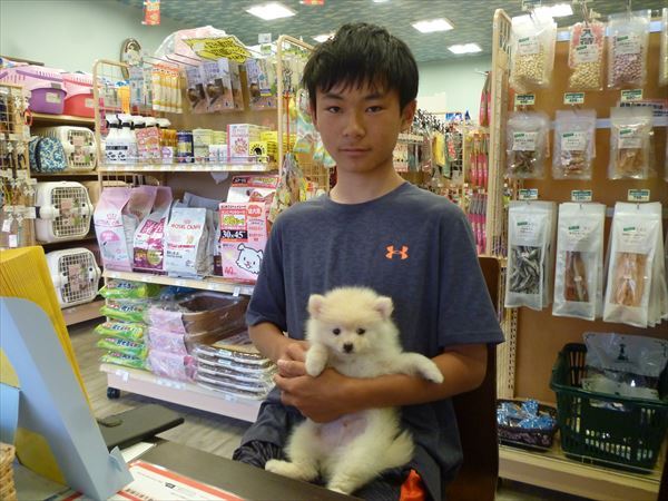 写真