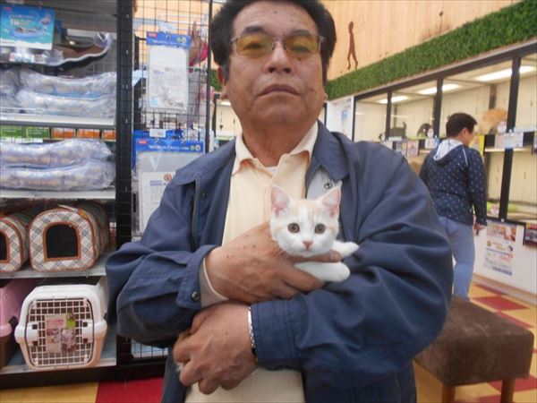 写真