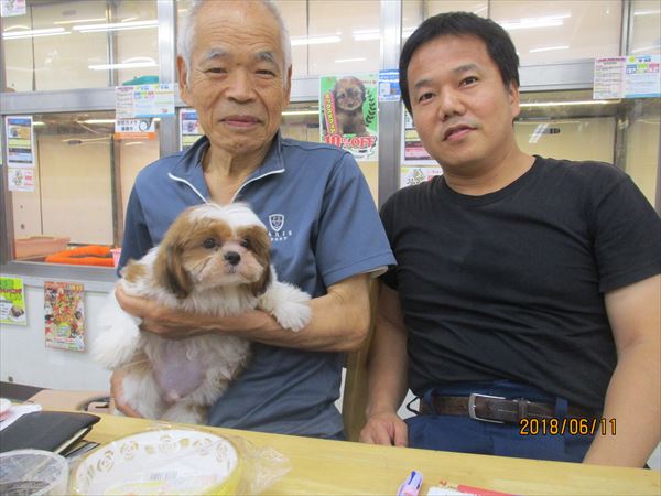 写真