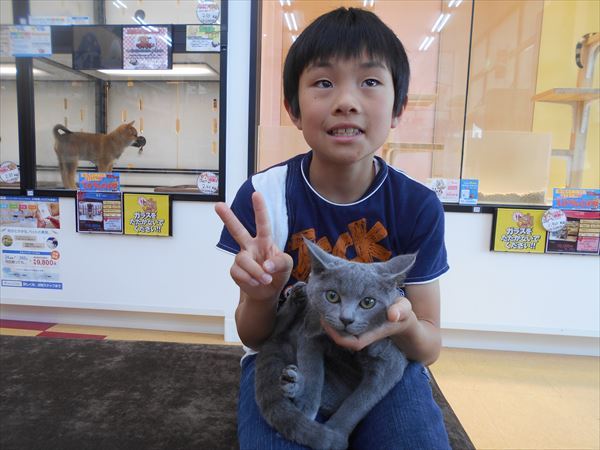 写真