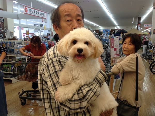 写真