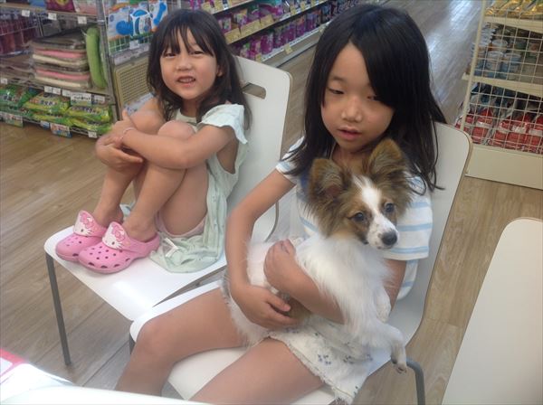 写真