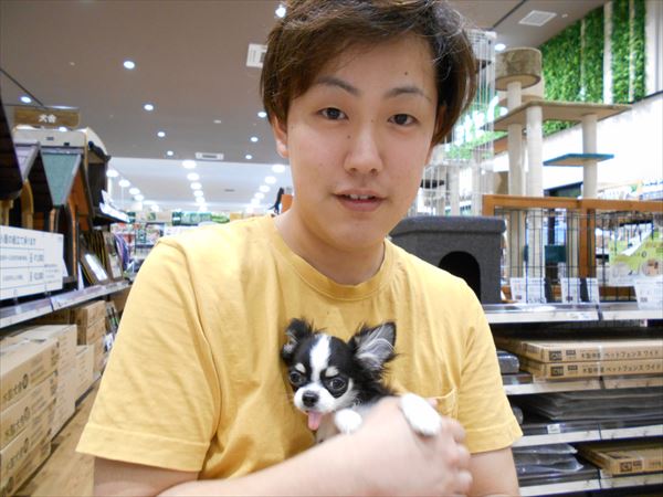 写真