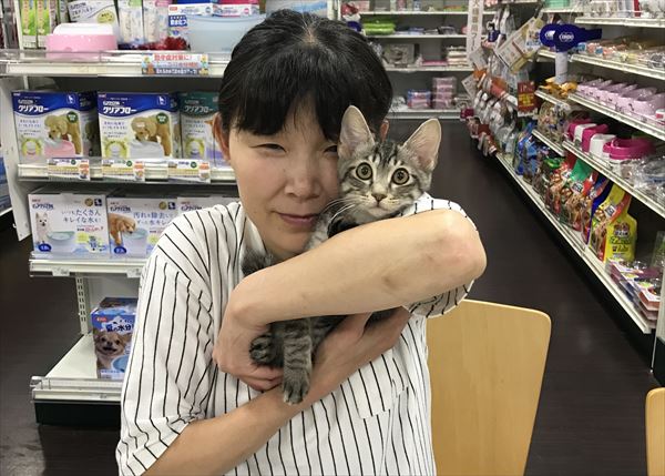 写真