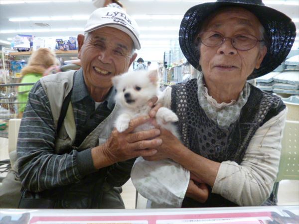 写真