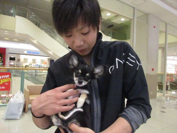 写真