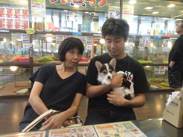 写真