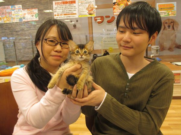 写真