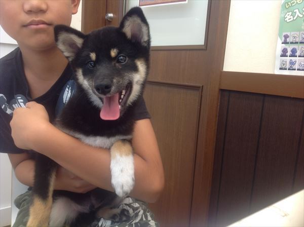 写真