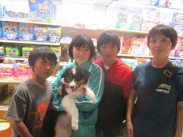 写真