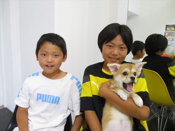 写真