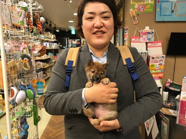写真