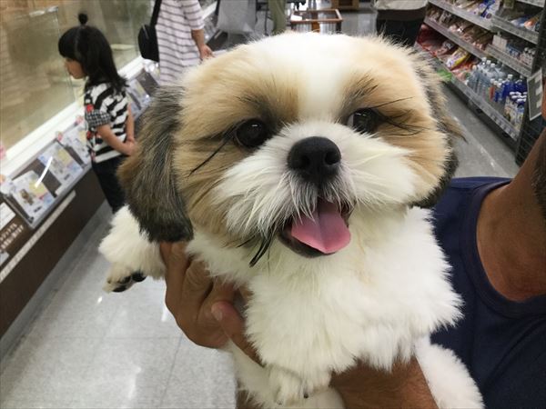 写真