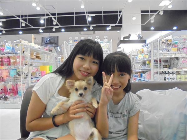 写真