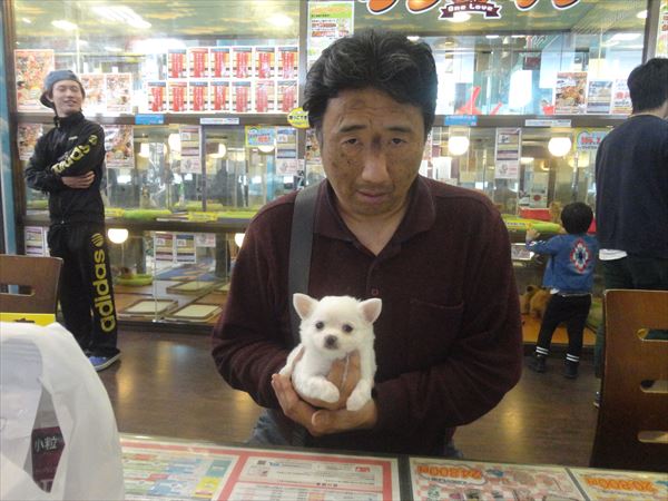 写真