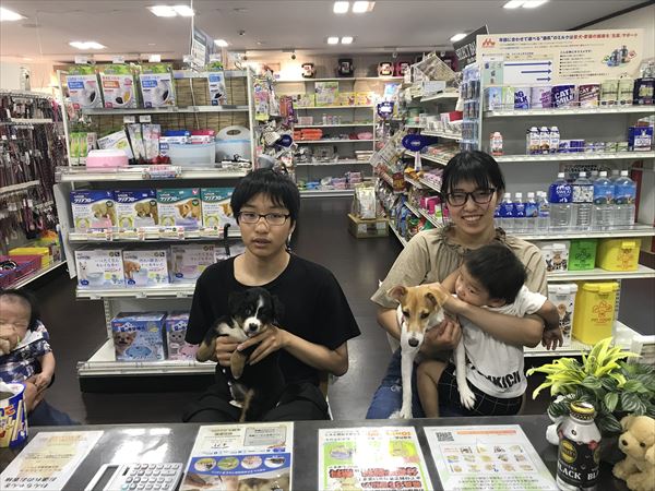 写真