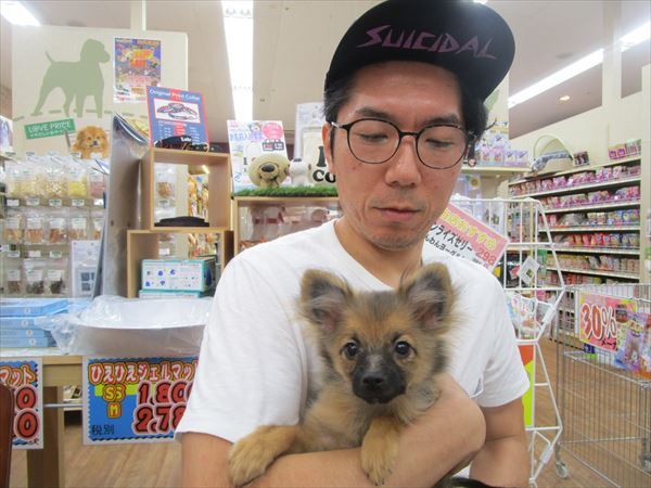 写真