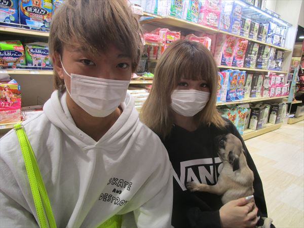 写真